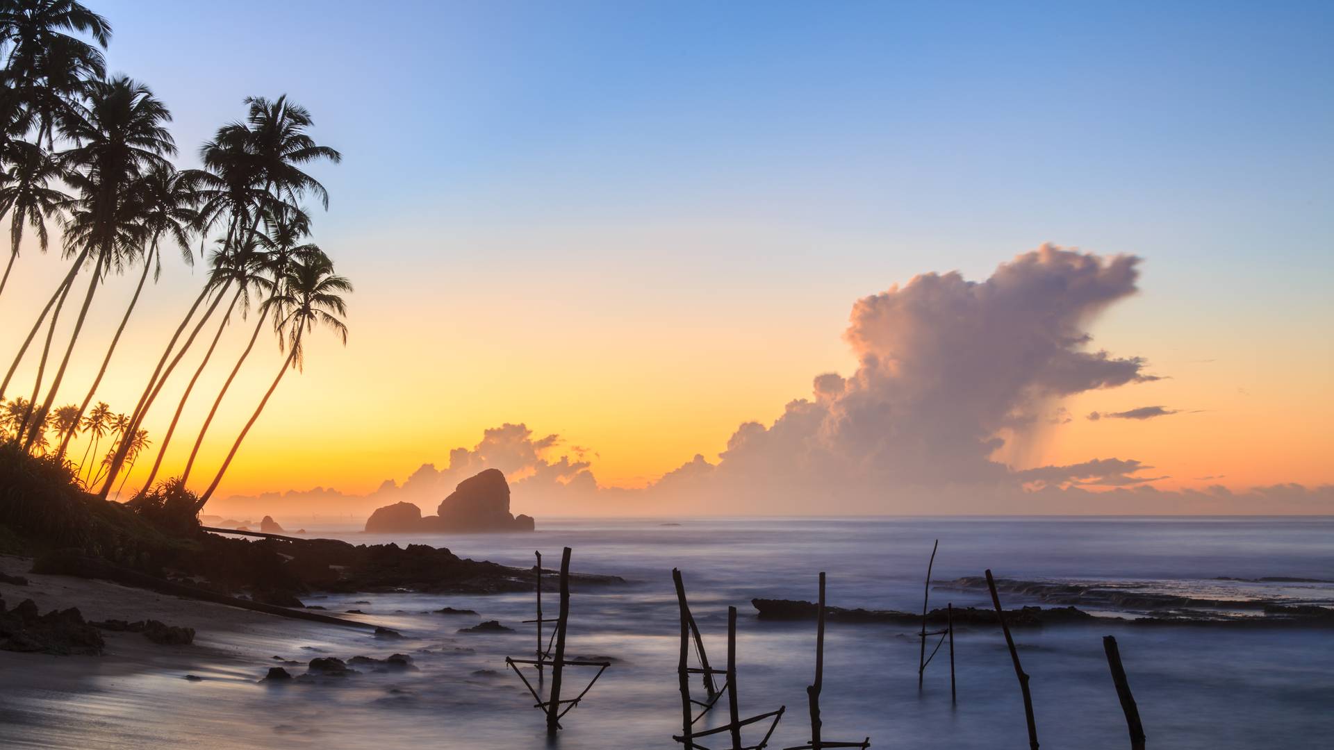 Sri Lanka Sonnenuntergang Palmen