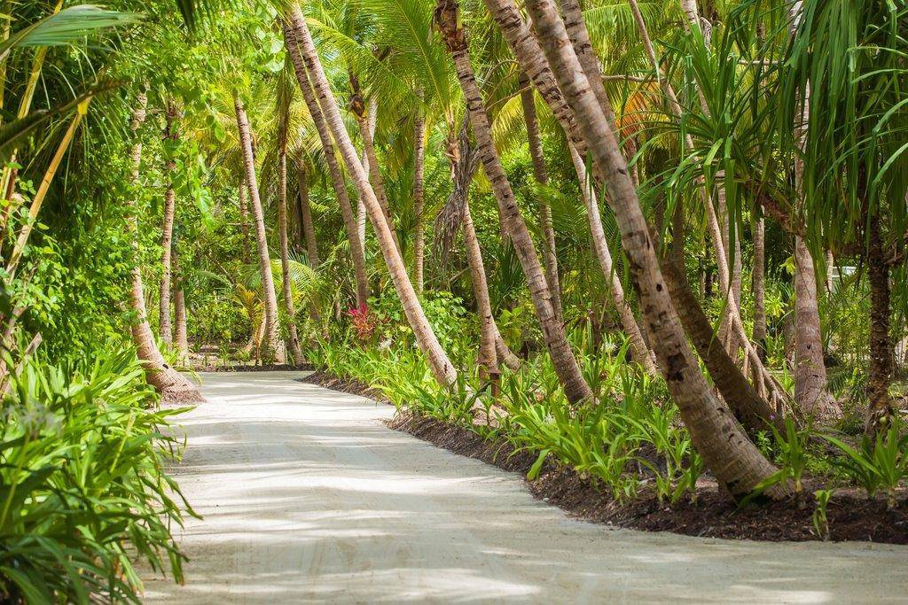 Dusit Thani Maldives