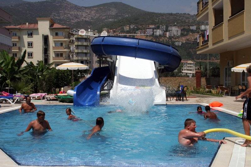 Kleopatra Royal Palm