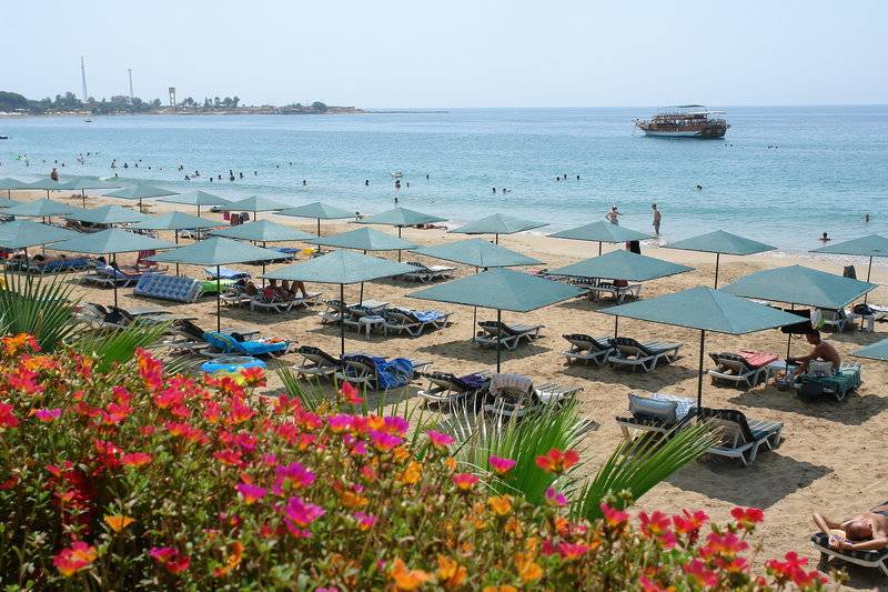 Antik Butik & Antik Garden