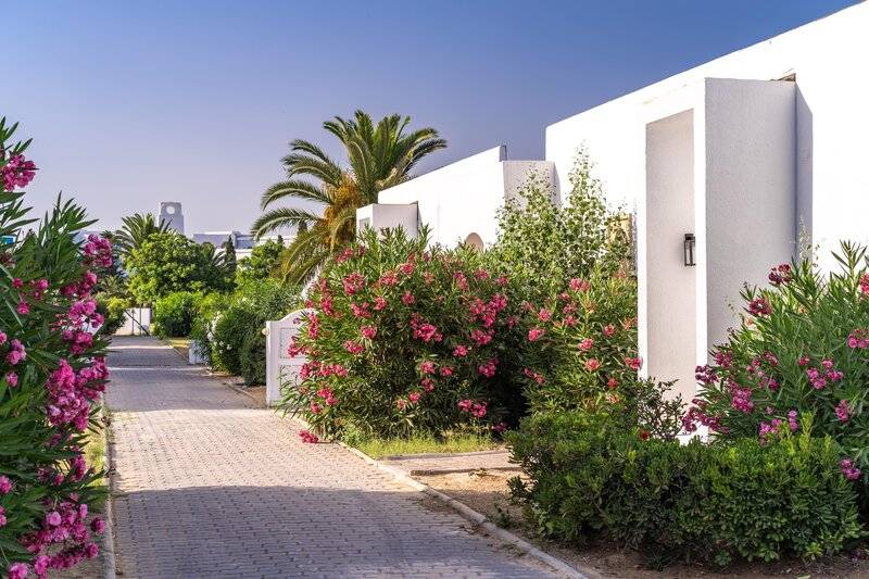 Iberostar Selection Mirage Hammamet