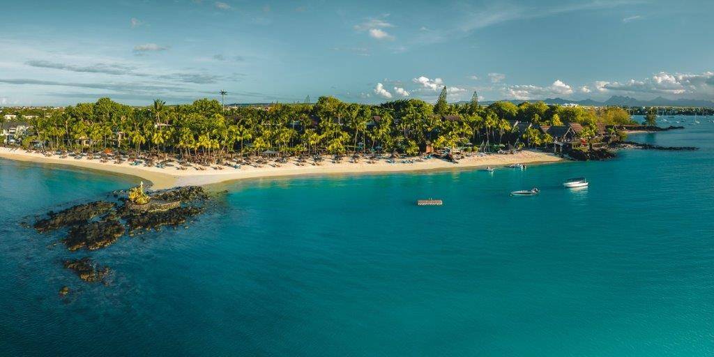 Royal Palm Beachcomber