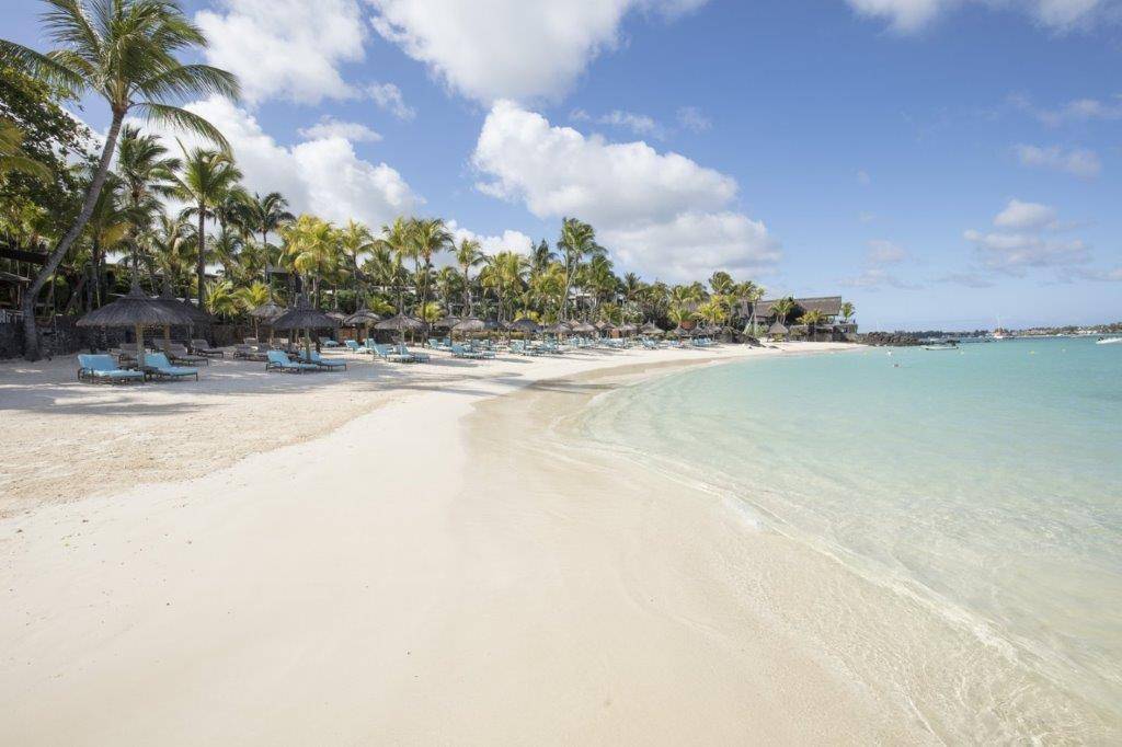 Royal Palm Beachcomber