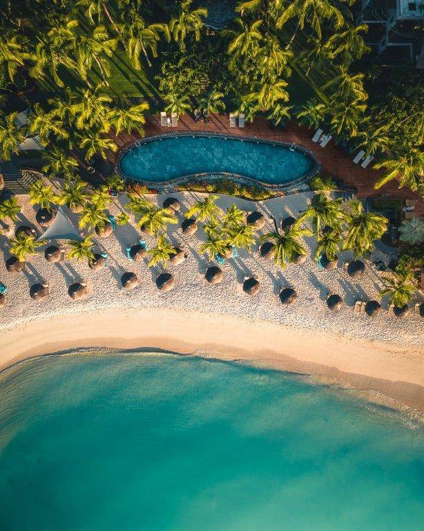 Royal Palm Beachcomber