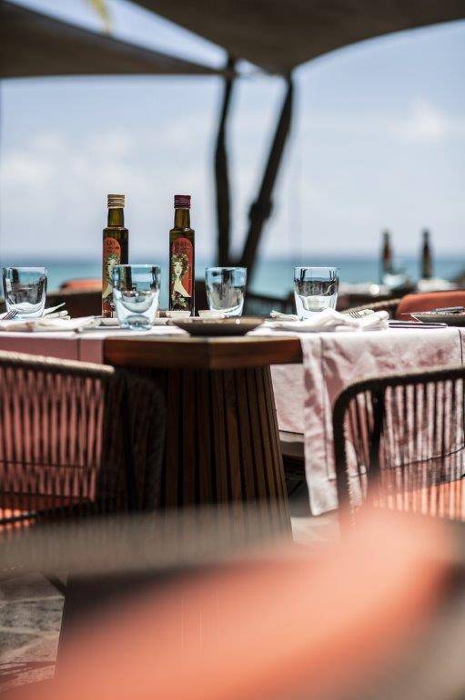 Royal Palm Beachcomber