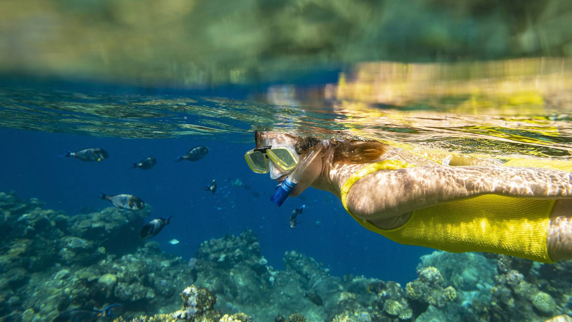 Three Corners Happy Life