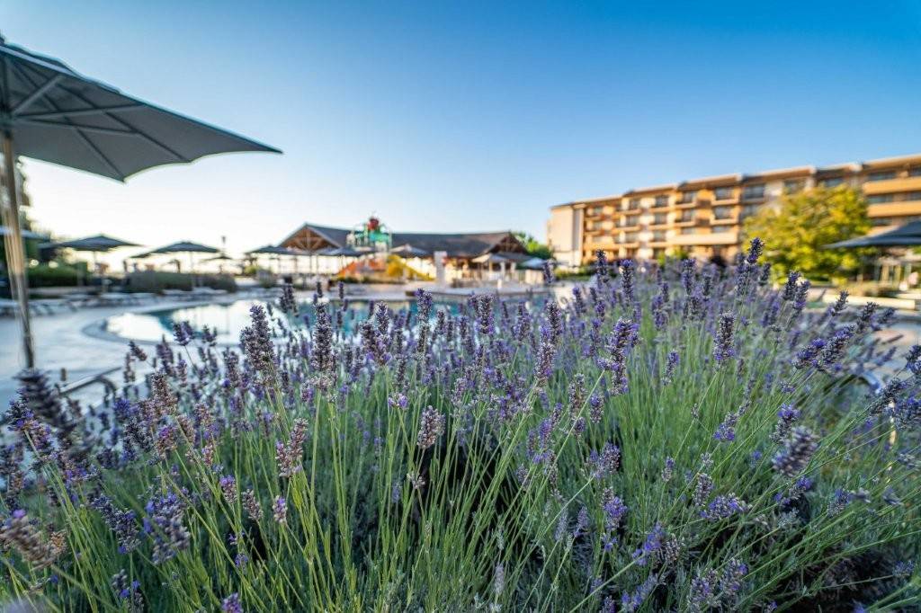 HVD Club Hotel Miramar