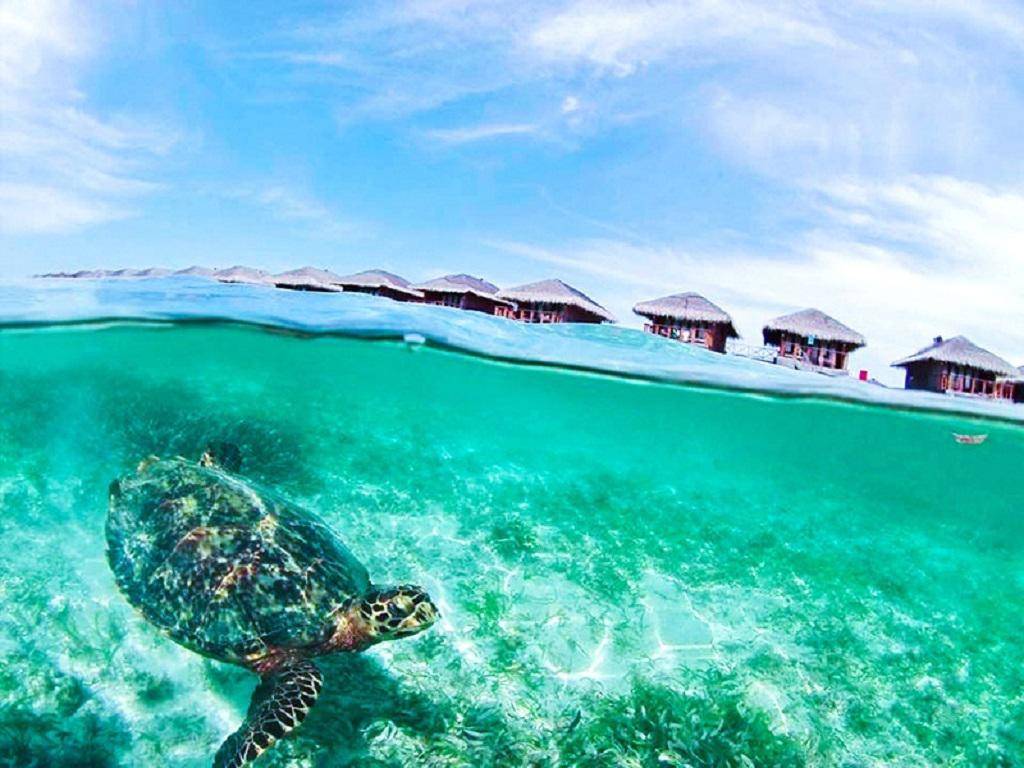 Medhufushi Island Resort