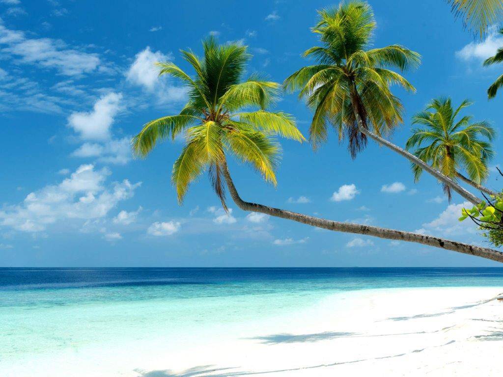 Mercure Maldives Kooddoo Resort