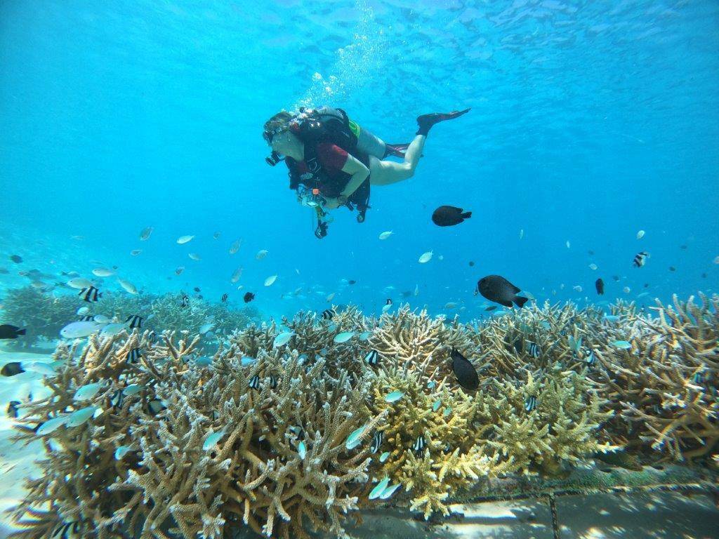 Meeru Island Resort & Spa