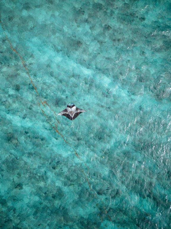 Cinnamon Hakuraa Huraa Maldives