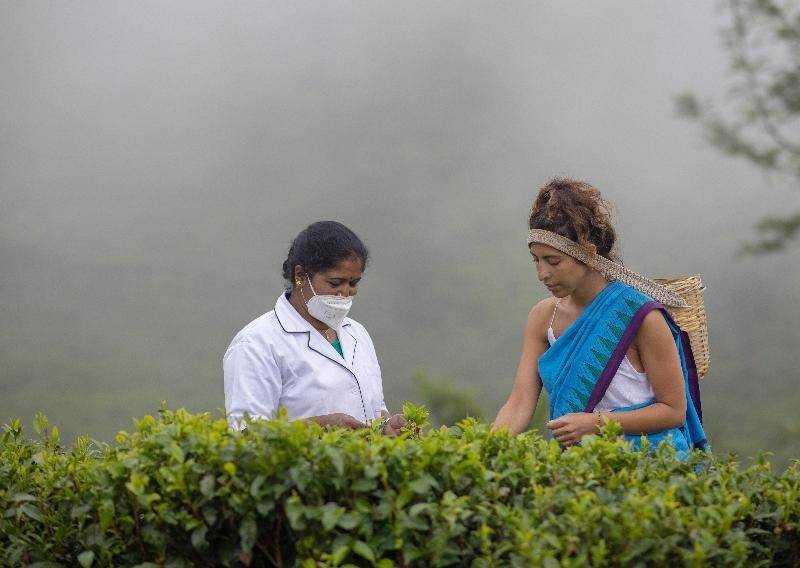 Heritance Tea Factory