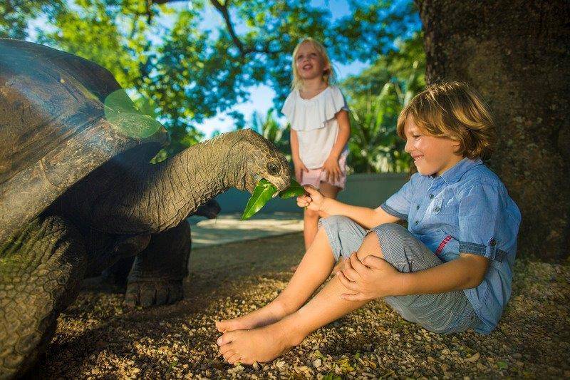Maritim Resort & Spa Mauritius