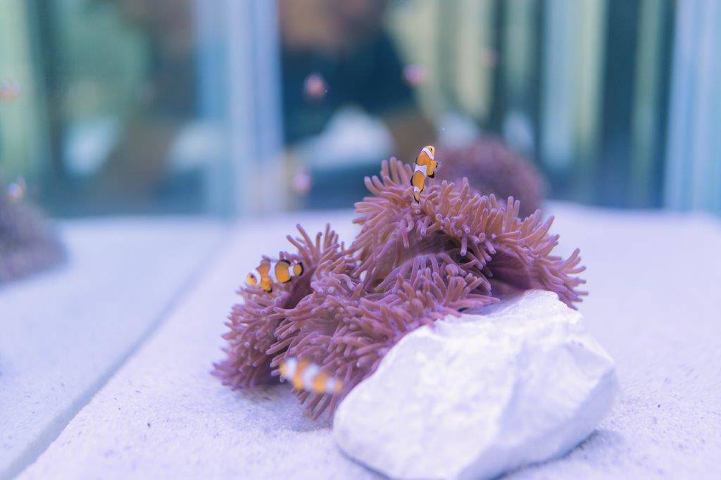 Hyatt Regency Phuket Resort