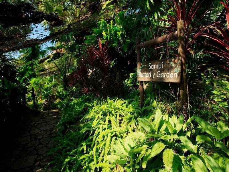 Centara Villas Samui