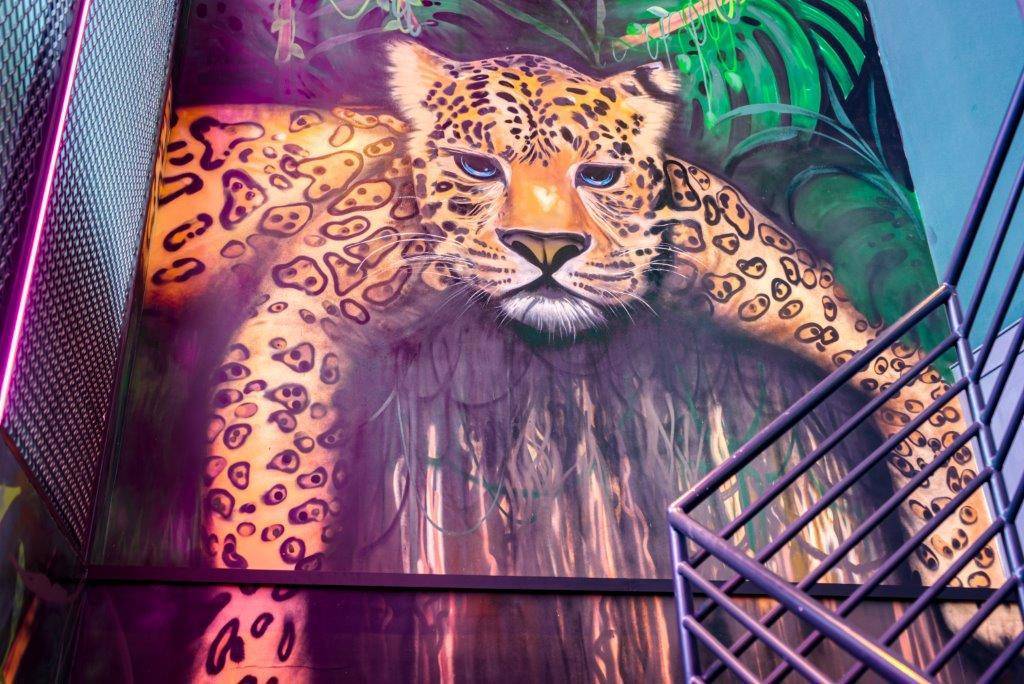 The First Collection at Jumeirah Village Circle, A Tribute Portfolio