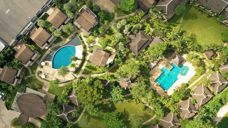  The Leaf on The Sands