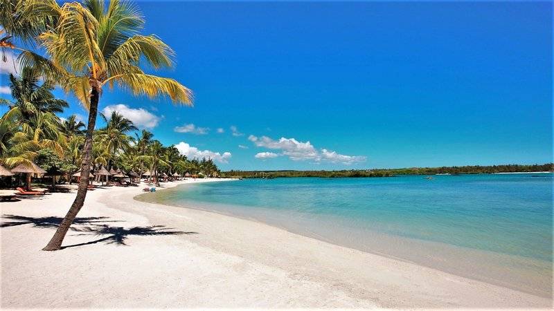 Constance Prince Maurice