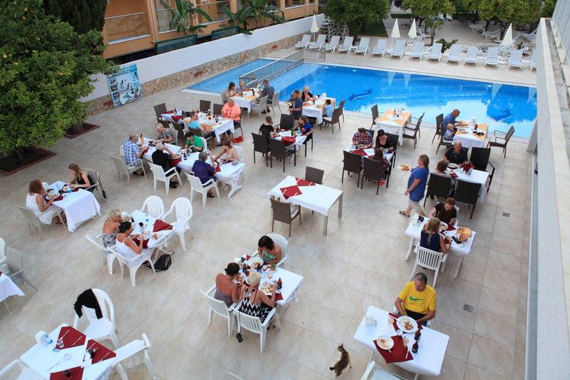 Catty Cats Garden Hotel