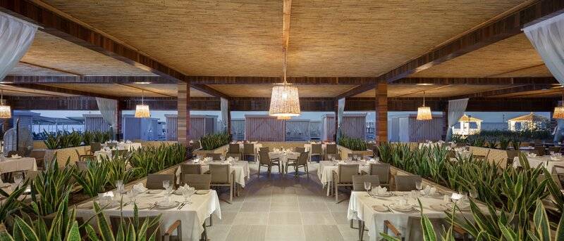 Nirvana Cosmopolitan