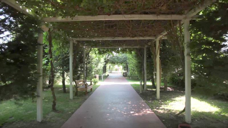 Saturn Palace Resort