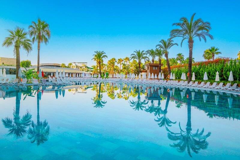 Leodikya Kirman Premium