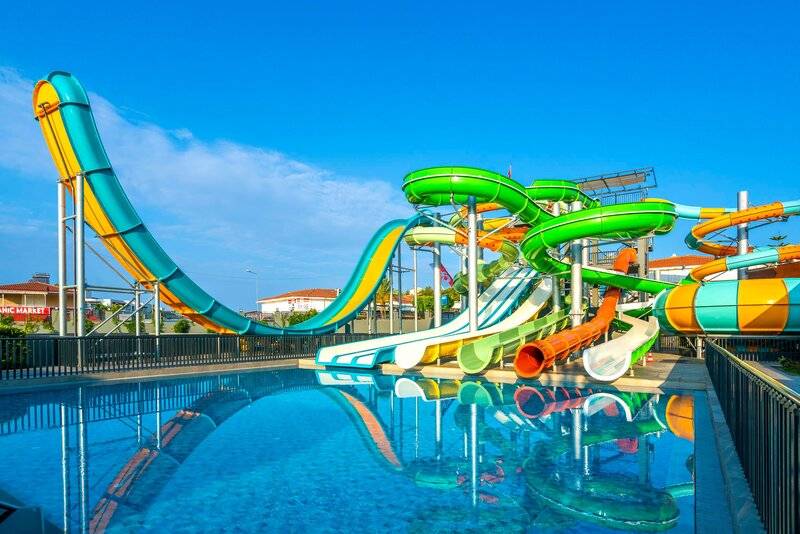 Calyptus Kirman Premium