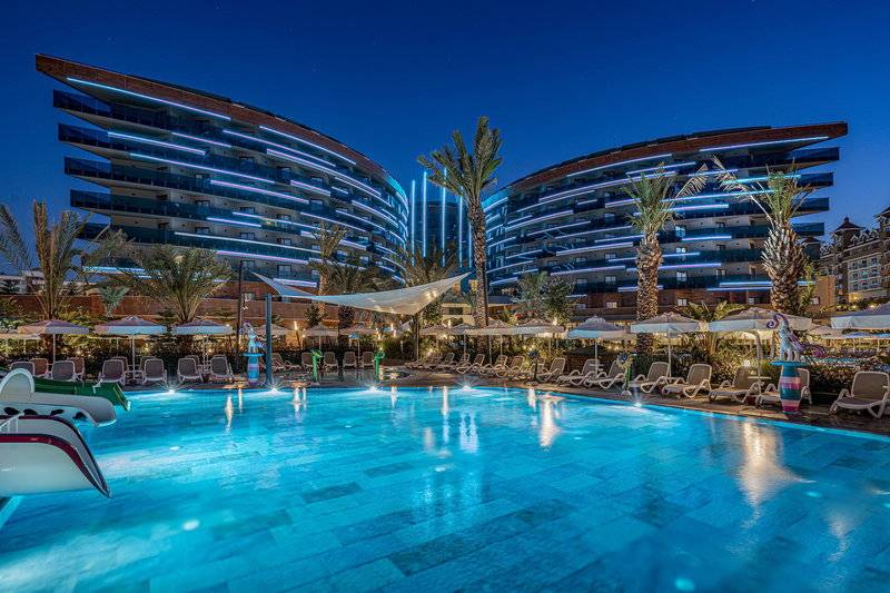 Calyptus Kirman Premium