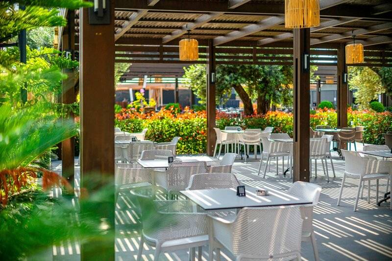 Calyptus Kirman Premium