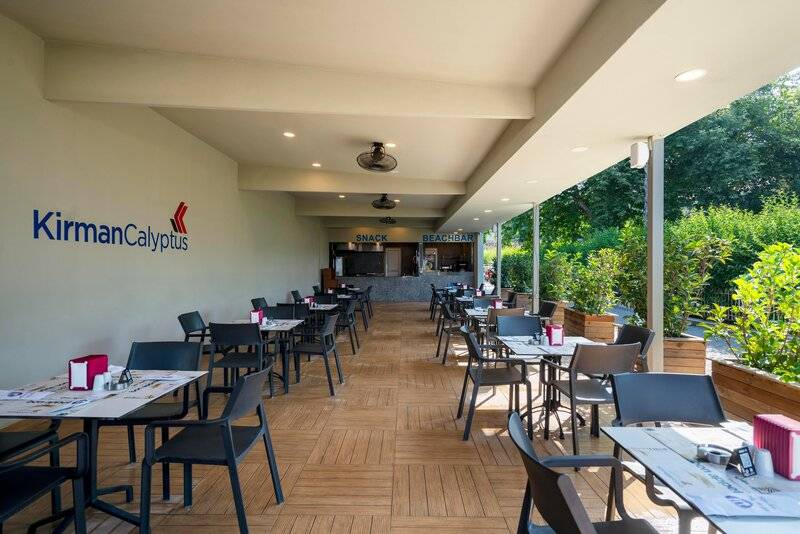 Calyptus Kirman Premium