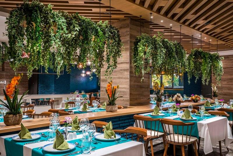 Calyptus Kirman Premium