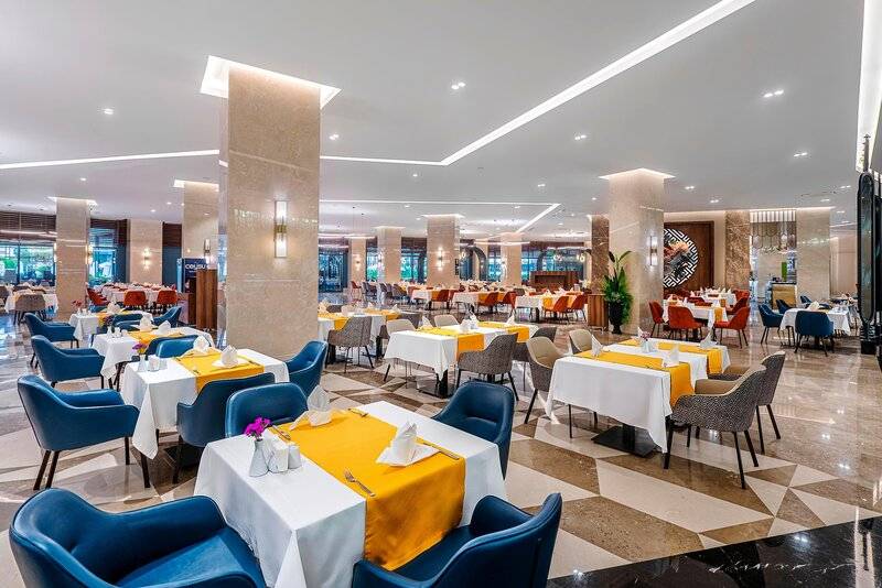 Calyptus Kirman Premium