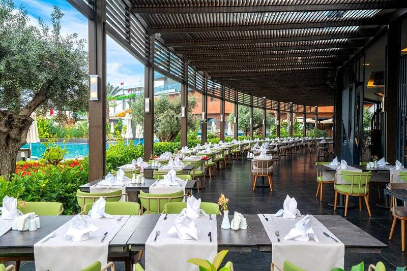 Calyptus Kirman Premium