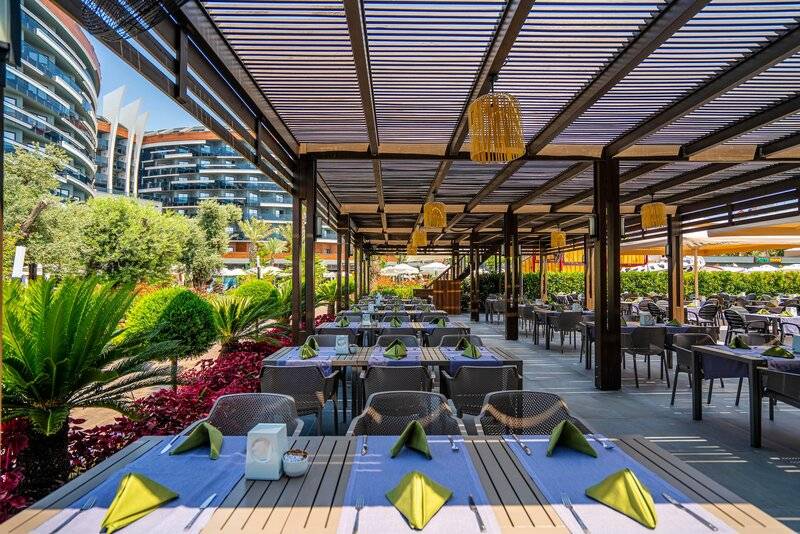 Calyptus Kirman Premium