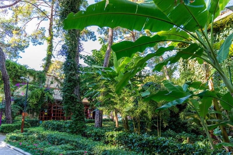 Ulusoy Kemer Holiday Club