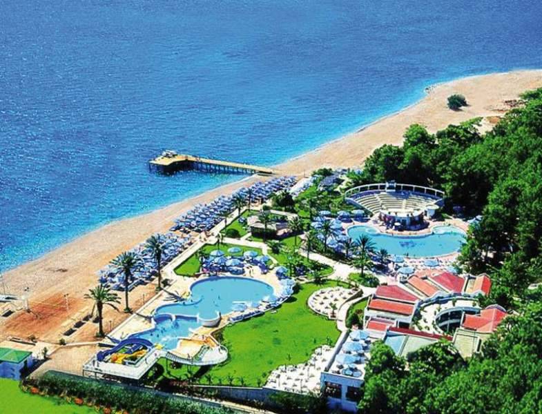 Gypsophila Club Marine