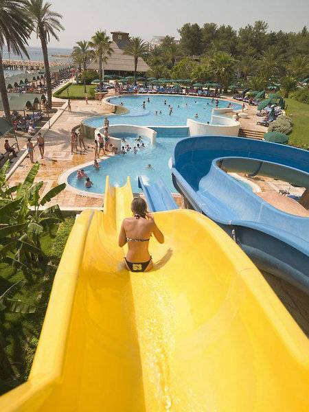 Gypsophila Club Marine