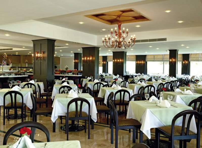 Gypsophila Club Marine