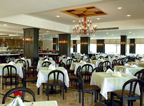 Gypsophila Club Marine