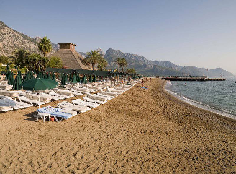 Gypsophila Club Marine