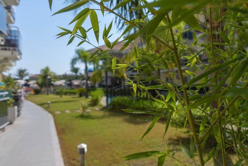 Montebello Resort Hotel - All Inclusive