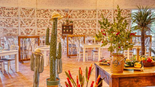 DIT Evrika Beach Club Hotel - All Inclusive