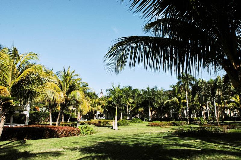 Playabachata Lifestyle Collection by Senator