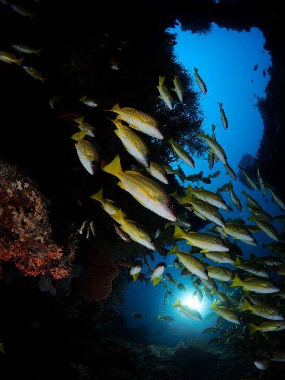 Kagi Maldives Resort and Spa