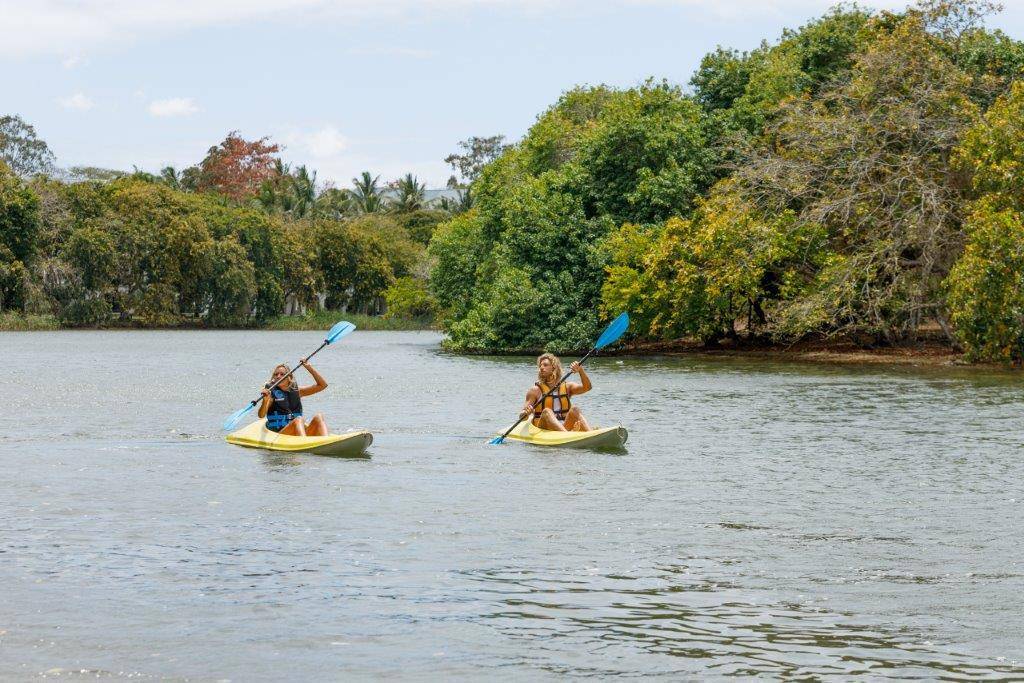 The Ravenala Attitude