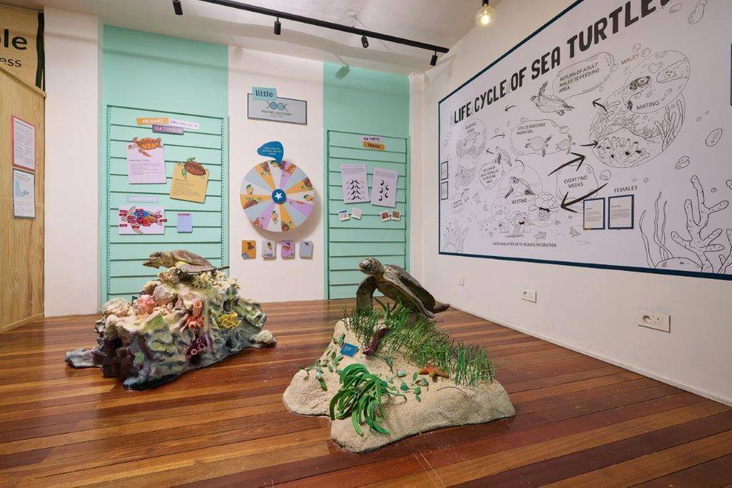 The Ravenala Attitude