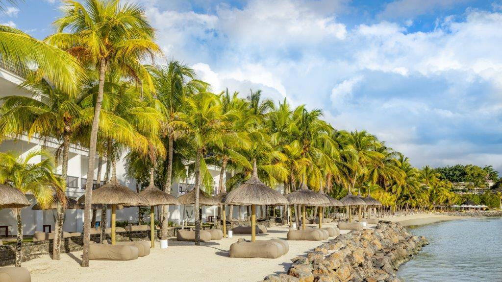 The Ravenala Attitude