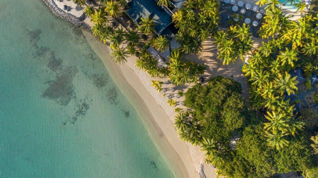 The Ravenala Attitude