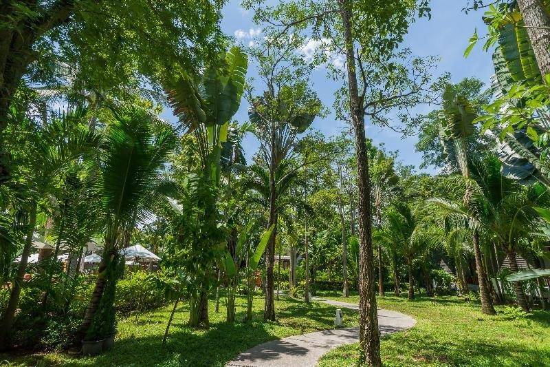 Peace Resort Samui Peace Resort Samui