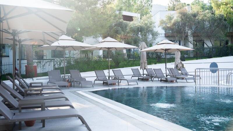 The Norm Collection Door'a